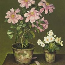 Схема вышивки «цветы в горшке»