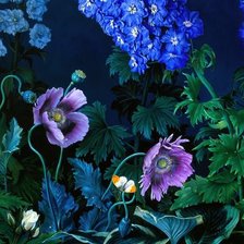 Схема вышивки «цветы ночью»