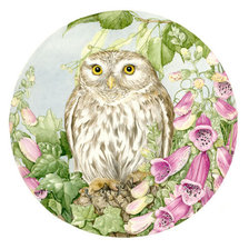 Схема вышивки «Сова»