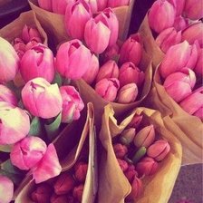 Схема вышивки «Тюльпаны»