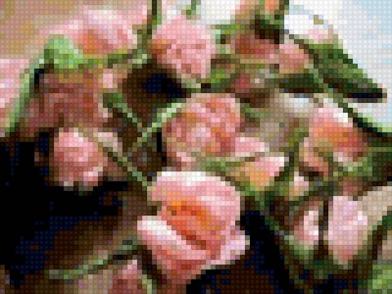 Розы - чайные розы, розы - предпросмотр