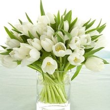 Схема вышивки «№321834»