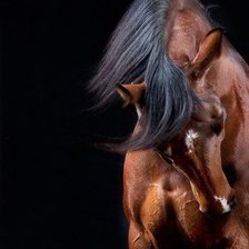 Схема вышивки «№321848»