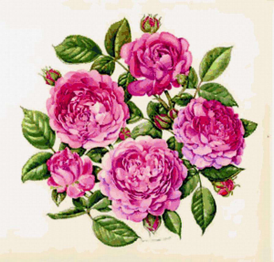 Нежные розы - роза, нежные розы, подушка, душистые розы, панно, розы - предпросмотр