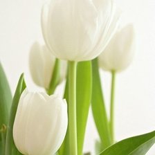 Схема вышивки «№321876»