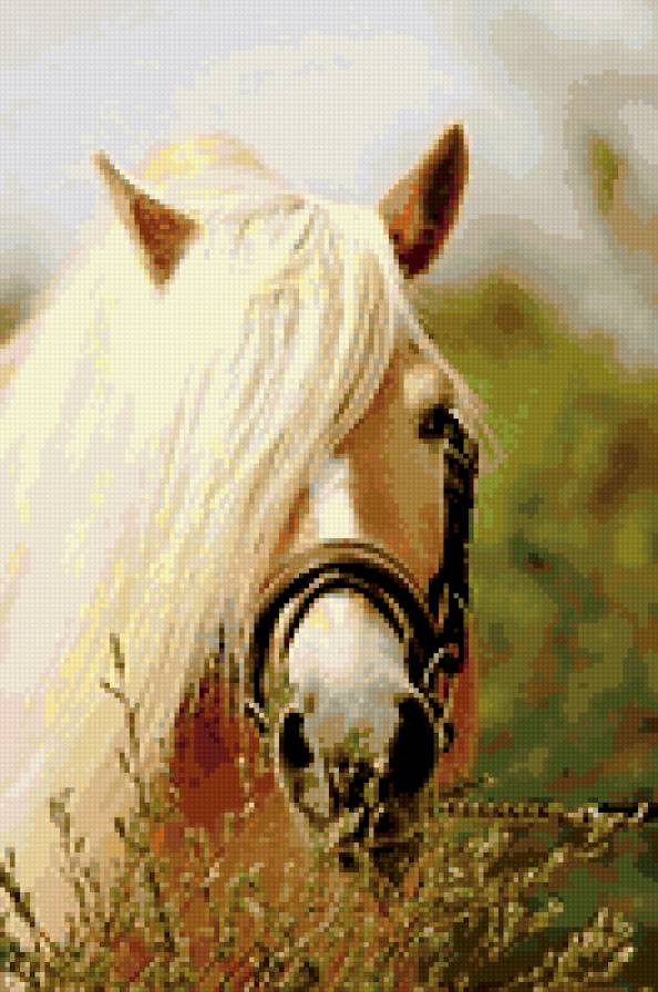 №321885 - лошади - предпросмотр