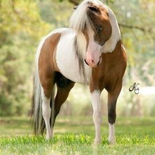 Схема вышивки «№321896»