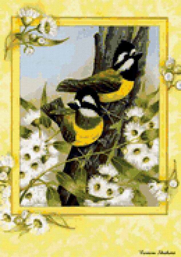 Птицы - природа, птицы - предпросмотр