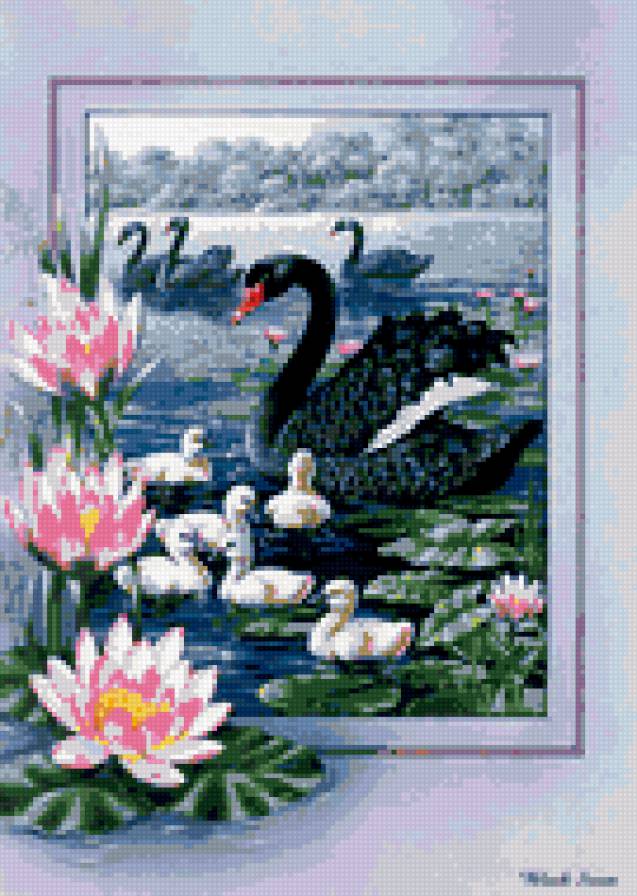 Птицы - природа, лебеди, птицы - предпросмотр