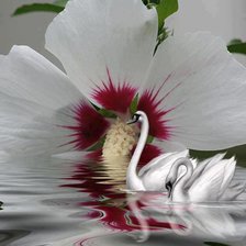 Схема вышивки «серия "птицы"»