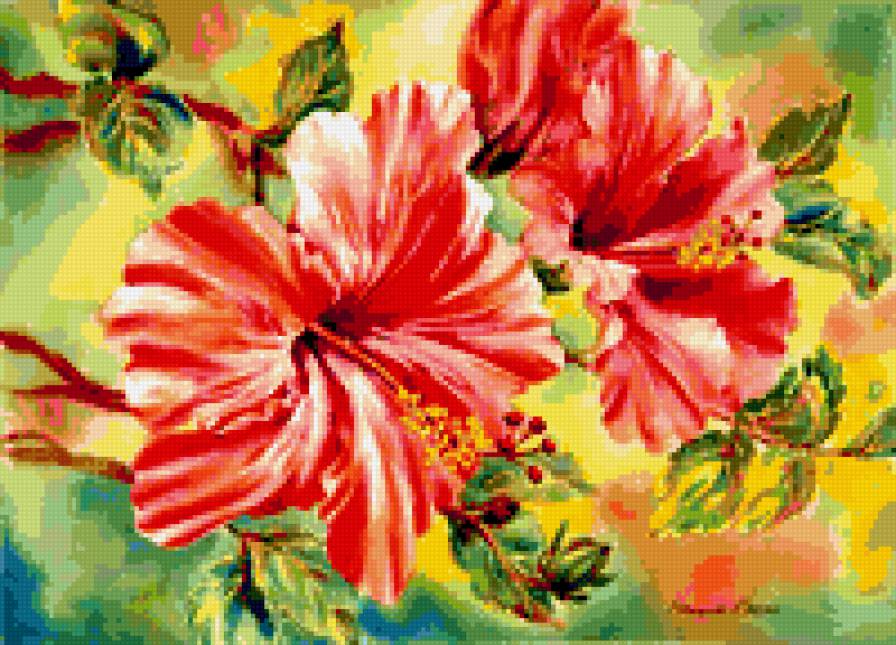 Гибискус - природа, флора.гибискус, цветы, лепестки - предпросмотр