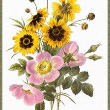 Схема вышивки «Букетик шиповника»