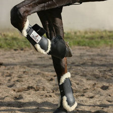 Схема вышивки «конь»