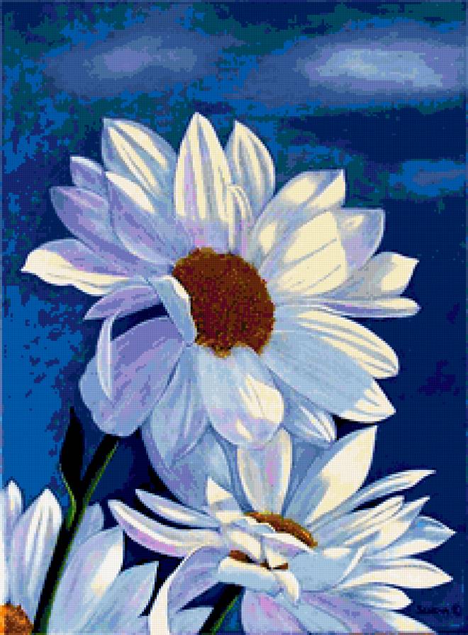 Ромашки - ромашки, флора, панно, ромашка, полевые цветы, цветы, лепестки - предпросмотр