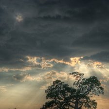 Схема вышивки «Свет солнца»