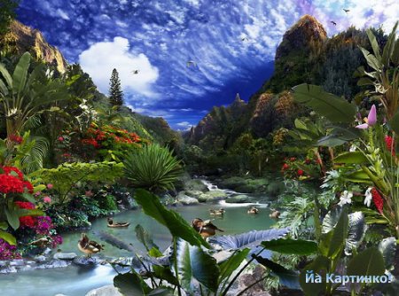 №322549 - оригинал