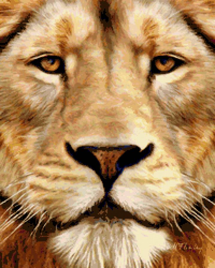 лев - лев, животные - предпросмотр