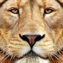 Схема вышивки «лев»