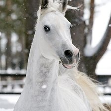 Схема вышивки «№322651»