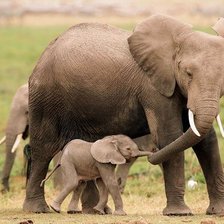 Схема вышивки «№322652»