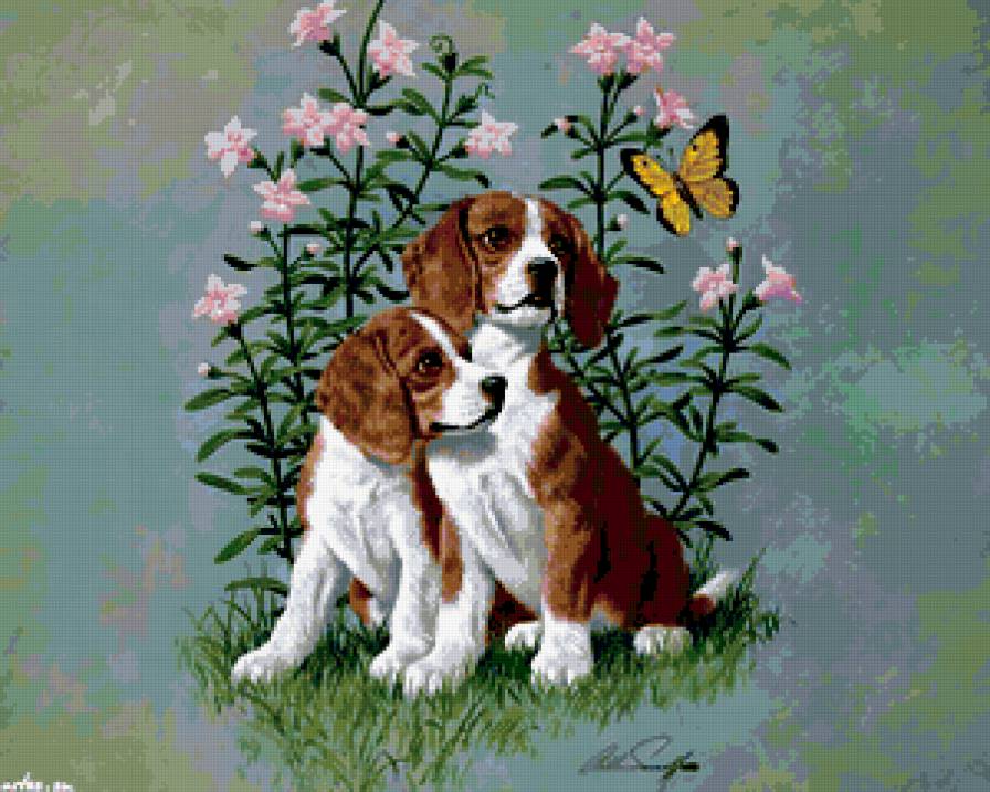 собачки - животные - предпросмотр