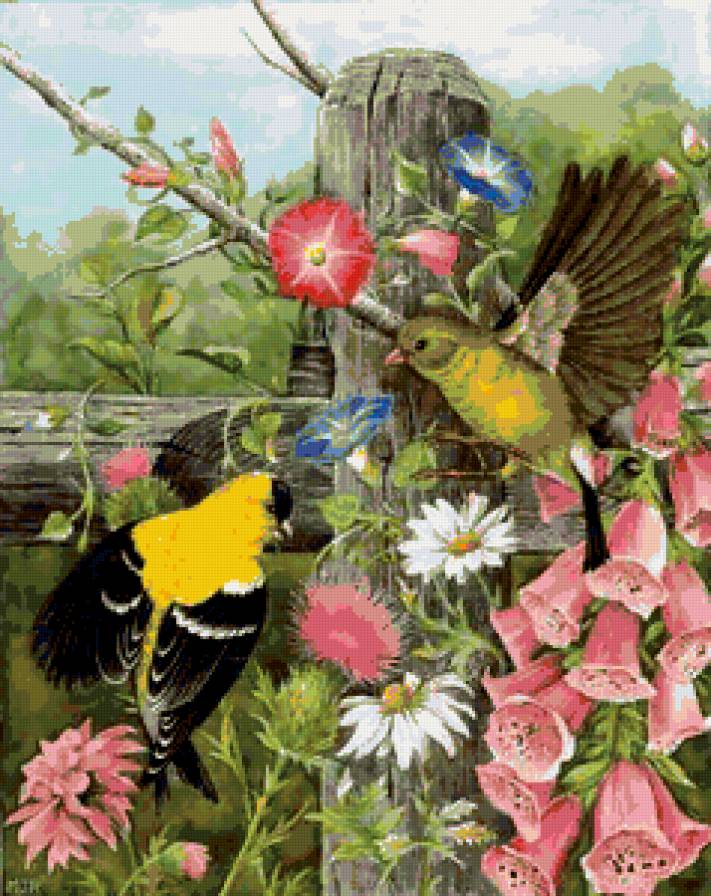 птички-невелички - птицы - предпросмотр