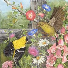 Схема вышивки «птички-невелички»