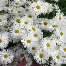 Схема вышивки «№322825»