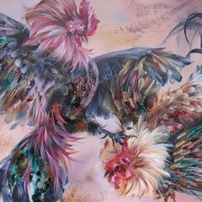 БОЙЦОВЫЕ ПЕТУХИ