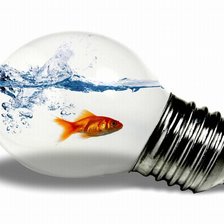 Схема вышивки «золотая рыбка»