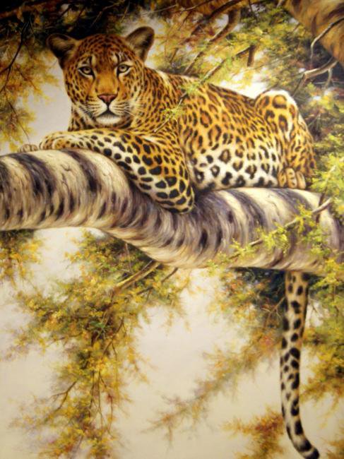 "Дикие кошки" 1 - картины, животные, дикие кошки - оригинал