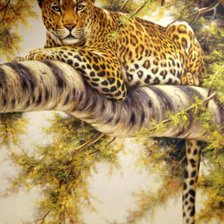 Схема вышивки «"Дикие кошки" 1»