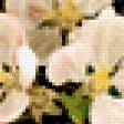 Предпросмотр схемы вышивки «натюрморт» (№322907)