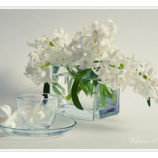 Схема вышивки «цветы»