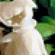 Предпросмотр схемы вышивки «цветы» (№322983)