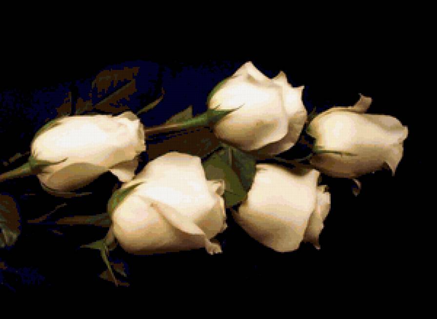 цветы - предпросмотр