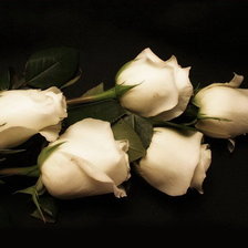 Схема вышивки «цветы»