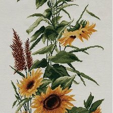 Схема вышивки «подсолнухи»