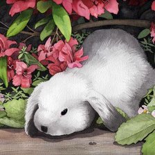 Схема вышивки «Зайчонок»