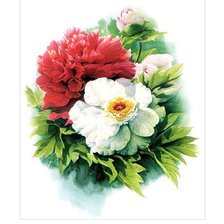 Схема вышивки «Пионы»