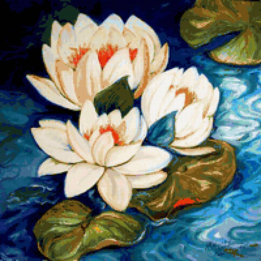 Лотосы - природа, лепестки, цветы, флора.белые цветы.лотосы - предпросмотр