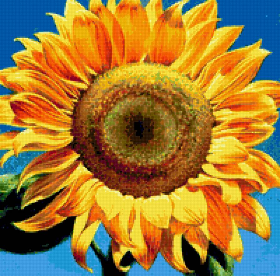 Подсолнух - цветы, флора.желтые цветы.подсолнух, лепестки, природа - предпросмотр