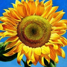 Схема вышивки «Подсолнух»