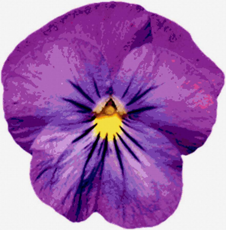 подушка "Анютины глазки" - фиалки, подушка, цветы - предпросмотр