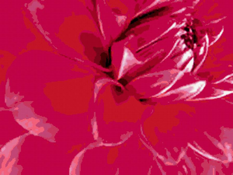 георгин - предпросмотр