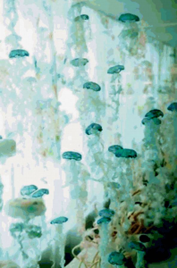 Водное царство - море, медузы - предпросмотр