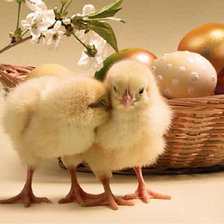 Схема вышивки «Пасха»