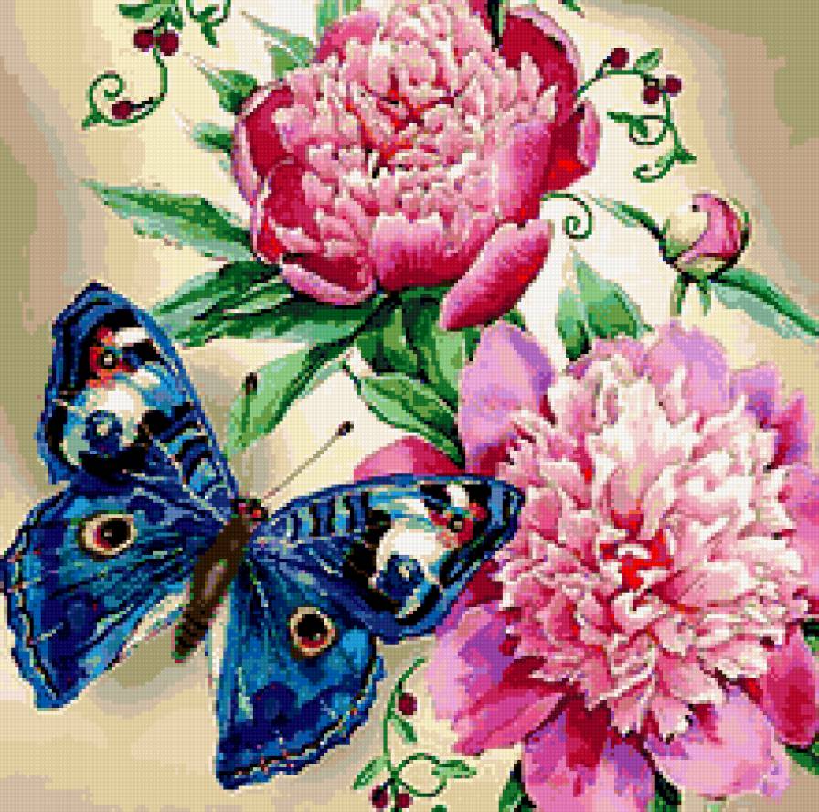Бабочка и пионы - пионы, бабочка - предпросмотр