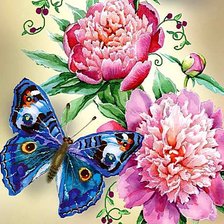 Бабочка и пионы