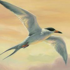 Схема вышивки «№323364»